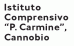 IStituto Comprensivo P. Carmine di Cannobio